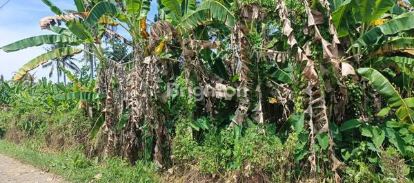 image INVESTASI TANAH JEMBRANA HARGA TERJANGKAU (7)