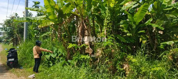 image INVESTASI TANAH JEMBRANA HARGA TERJANGKAU (5)