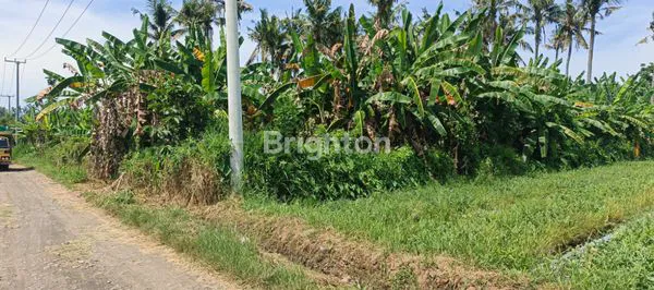 image INVESTASI TANAH JEMBRANA HARGA TERJANGKAU (2)