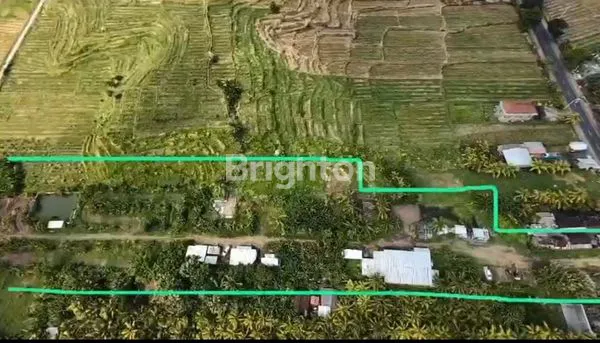 image LAHAN LUAS 10.400 M² DI JALAN RAYA DENPASAR-GILIMANUK (4)