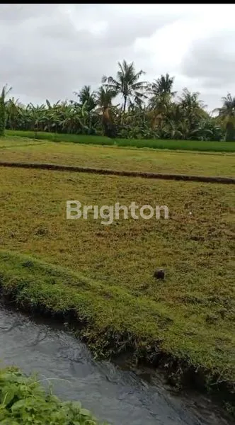 image TURUN HARGA LAHAN STRATEGIS 16 ARE, DEKAT PANTAI NYANYI (3)