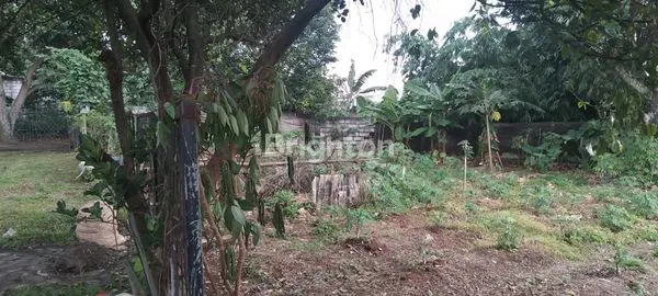 image PANCORAN MAS TANAH DIJUAL (2)