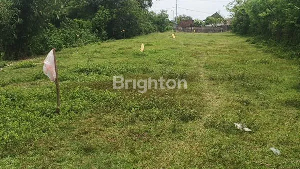 image JUAL TANAH MURAH HANYA 75 JUTA PERARE DIPUSAT KOTA NEGARA JEMBRANA BALI SELUAS 1830 M2 (7)