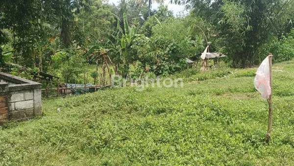 image JUAL TANAH MURAH HANYA 75 JUTA PERARE DIPUSAT KOTA NEGARA JEMBRANA BALI SELUAS 1830 M2 (8)