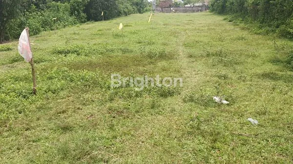 image JUAL TANAH MURAH HANYA 75 JUTA PERARE DIPUSAT KOTA NEGARA JEMBRANA BALI SELUAS 1830 M2 (4)