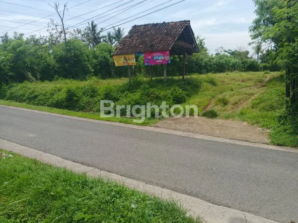 image JUAL TANAH MURAH HANYA 75 JUTA PERARE DIPUSAT KOTA NEGARA JEMBRANA BALI SELUAS 1830 M2 (3)