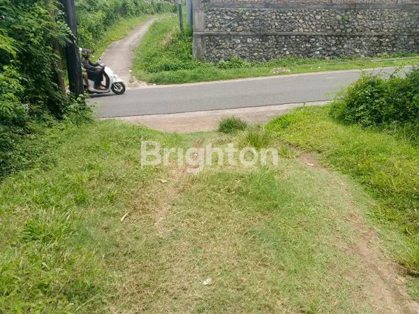 image JUAL TANAH MURAH HANYA 75 JUTA PERARE DIPUSAT KOTA NEGARA JEMBRANA BALI SELUAS 1830 M2 (5)