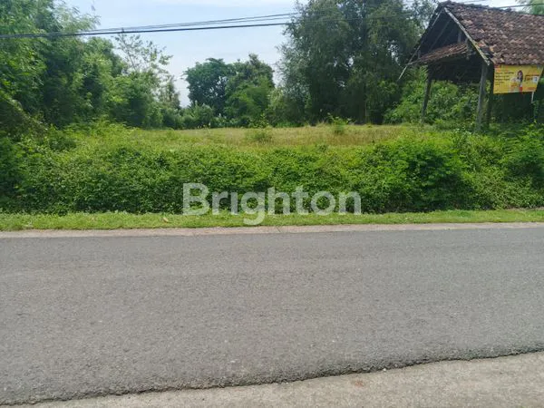 image JUAL TANAH MURAH HANYA 75 JUTA PERARE DIPUSAT KOTA NEGARA JEMBRANA BALI SELUAS 1830 M2 (2)