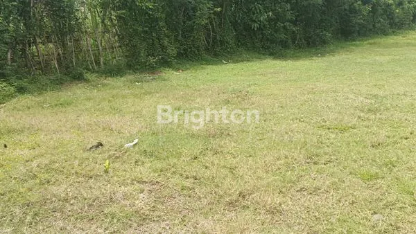 image JUAL TANAH MURAH HANYA 75 JUTA PERARE DIPUSAT KOTA NEGARA JEMBRANA BALI SELUAS 1830 M2 (6)
