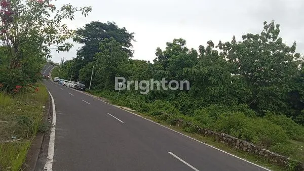 image TANAH KOMERSIAL JUAL NUSA DUA (4)