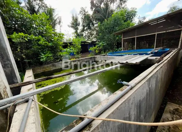image DIJUAL RUMAH & TANAH LUAS STRATEGIS BELAKANG RS CAHAYA MEDIKA MALANG (5)