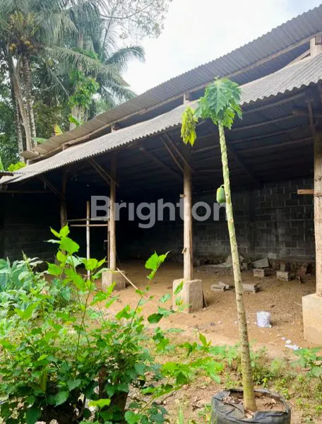 image DIJUAL RUMAH & TANAH LUAS STRATEGIS BELAKANG RS CAHAYA MEDIKA MALANG (8)