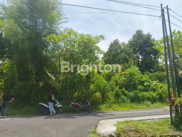 image INVESTASI TANAH MURAH 50 JUTA/ARE DI JEMBRANA BALI  (5)