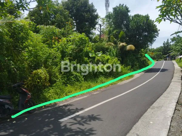 image INVESTASI TANAH MURAH 50 JUTA/ARE DI JEMBRANA BALI  (3)