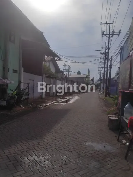 image RUKO 2,5 LT TROPODO WARU  (2)