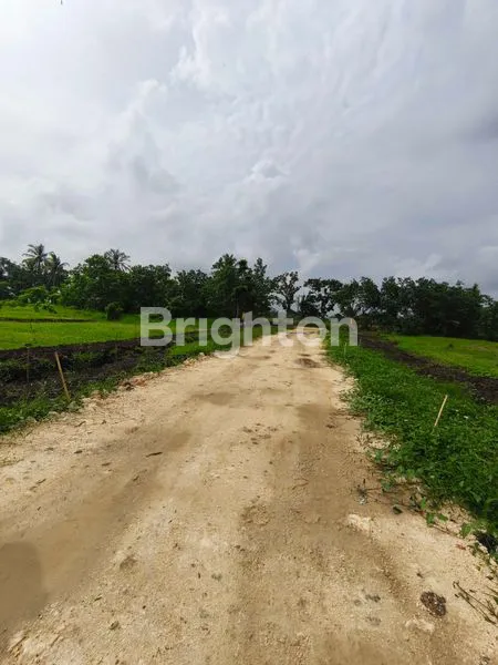 image TANAH KAVLING SIAP BANGUN COCOK UNTUK  VILLA, RESORT ATAU INVESTASI  DI KEDIRI  TABANAN (8)