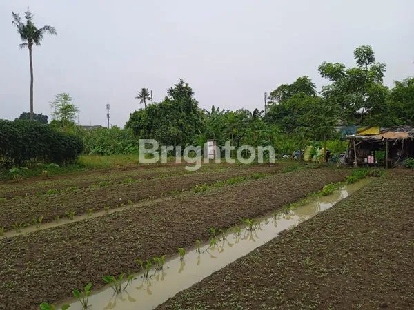 image LAHAN STRATEGIS GATOT SUBROTO 17.000M² (4)