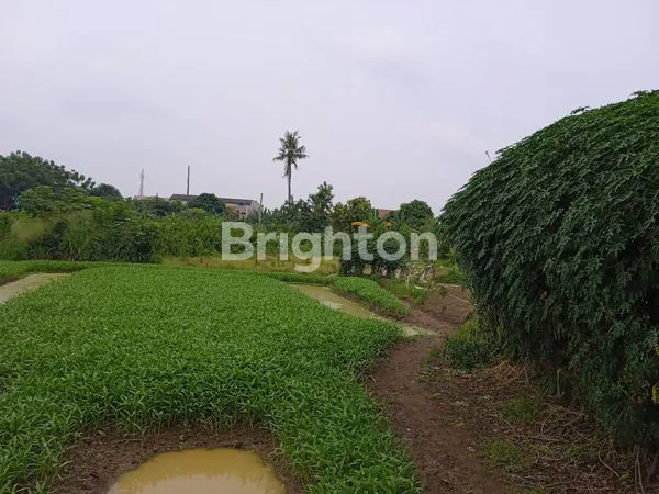 image LAHAN STRATEGIS GATOT SUBROTO 17.000M² (3)