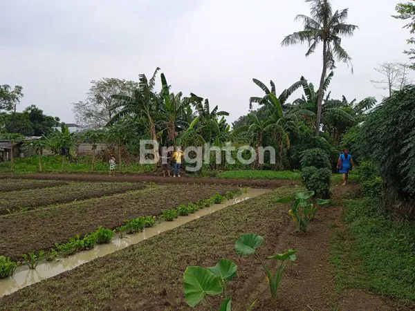 image LAHAN STRATEGIS GATOT SUBROTO 17.000M² (5)