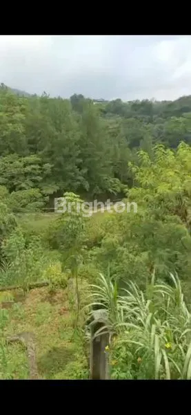 image TANAH KAVLING PREMIUM DAGO PAKAR 1044M² (5)