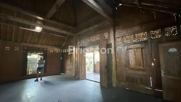 image SEWA RUMAH NYAMAN DENPASAR TIMUR (6)