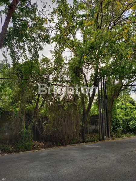 image TANAH PEKARANGAN LUAS DI JAKAL NGEMPLAK (2)