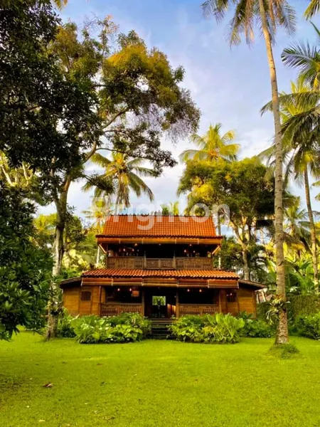 image LUXURY VILLA  (8)