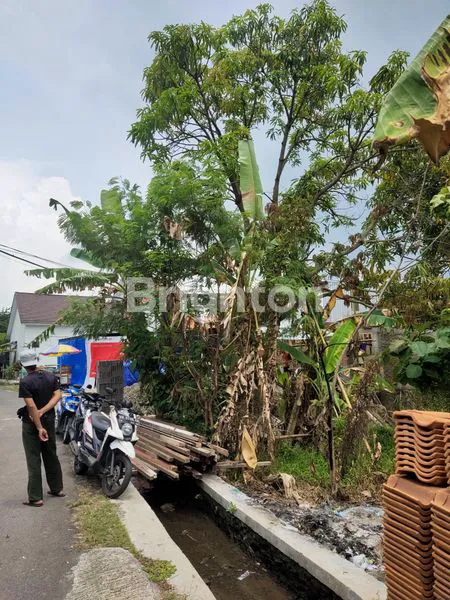 image TANAH LUAS DENGAN HARGA MURAH (3)