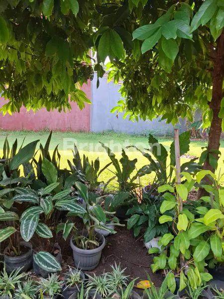 image KAVLING ELITE SHM 450 JUTA NEGO (1)