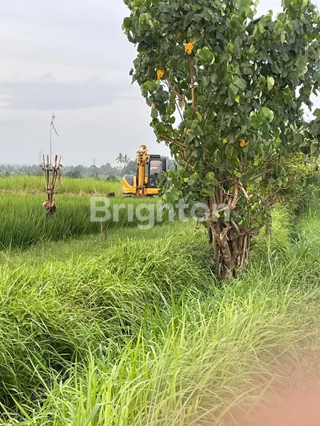 image LAND FOR SALE  (4)