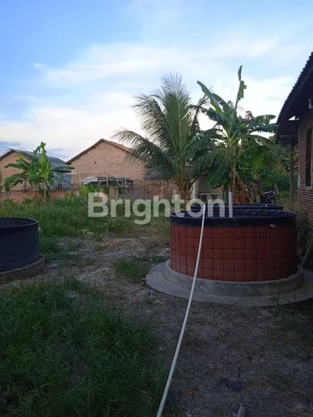 image TANAH RAJABASA 900M² + KOLAM IKAN BONUS RUMAH (2)