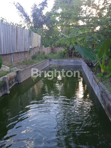 image TANAH RAJABASA 900M² + KOLAM IKAN BONUS RUMAH (3)
