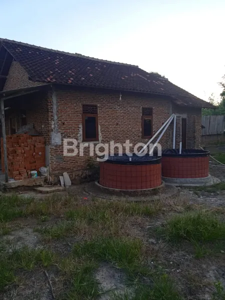 image TANAH RAJABASA 900M² + KOLAM IKAN BONUS RUMAH (1)