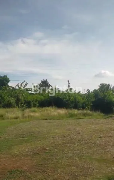 image LAHAN STRATEGIS 2.090M² DEKAT UNS SURAKARTA (1)