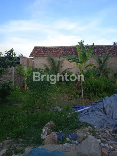 image TANAH RAJABASA 200M² HARGA NEGO (1)