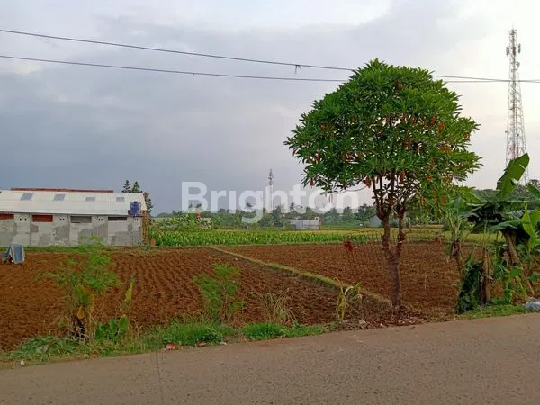image TANAH PADAT DI BELAKANG KOMPLEK PERKANTORAN LIPI(BRIN) CIBINONG (1)