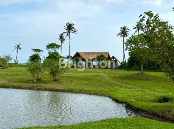 image TANAH KAVLING EKSKLUSIF 500M² DEKAT PANTAI BELONG (1)
