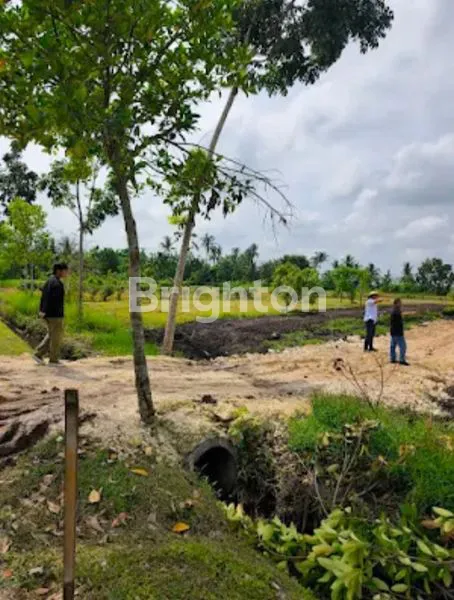 image TANAH KAVLING EKSKLUSIF 500M² DEKAT PANTAI BELONG (4)