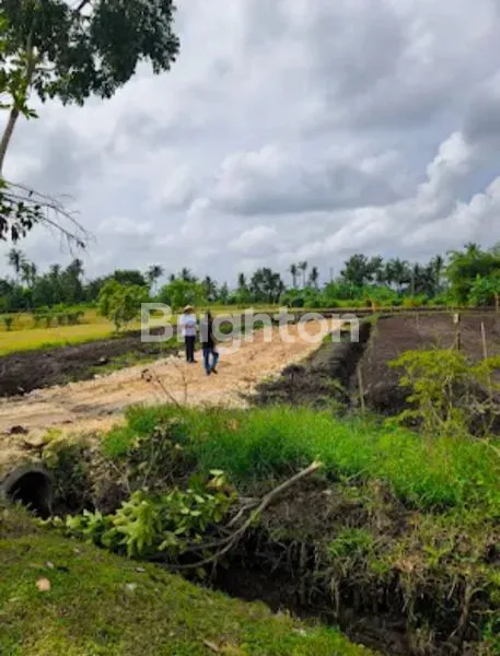 image TANAH KAVLING EKSKLUSIF 500M² DEKAT PANTAI BELONG (3)
