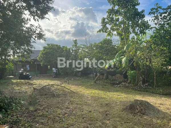 image TANAH KOLAM 5000 M2 RESTO DAN PEMANCINGAN DI FAJAR BARU (7)