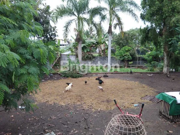 image KALIURANG KM 16 KOPI KLOTOK BERPAGAR KELILING  (2)