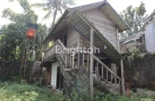 image KALIURANG KM 16 KOPI KLOTOK BERPAGAR KELILING  (5)