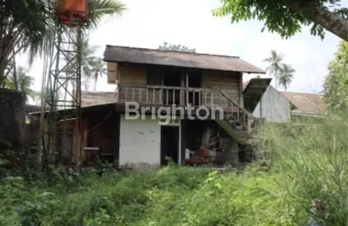 image KALIURANG KM 16 KOPI KLOTOK BERPAGAR KELILING  (4)