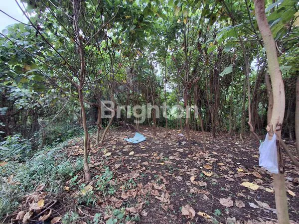 image TANAH KAVLING MURAH DI TABANAN, SISA 1! (3)