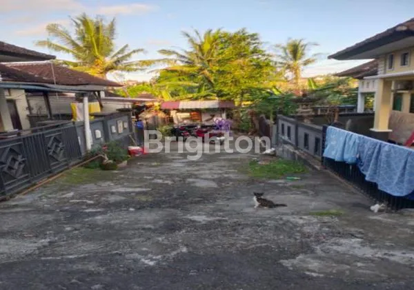image DIJUAL RUMAH MURAH DI TABANAN. (3)