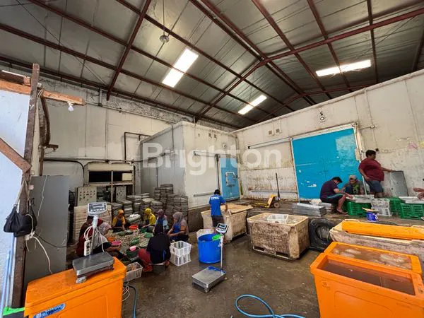 image GUDANG SAFE N LOCK SIDOARJO PLUS COLD STORAGE (2)