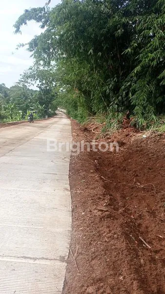 image DI JUAL TANAH CURUG BITUNG - BANTEN (6)