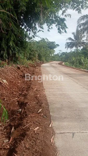 image DI JUAL TANAH CURUG BITUNG - BANTEN (7)