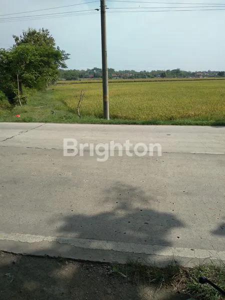 image TANAH STRATEGIS JALAN PROVINSI SRAGEN (1)