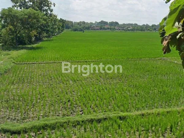 image TANAH STRATEGIS JALAN PROVINSI SRAGEN (2)